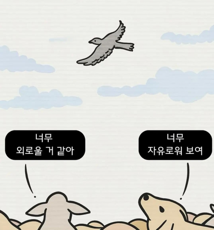 0cbc84c19e17f894ac896d697ac3cc00_1788146281_1625.png